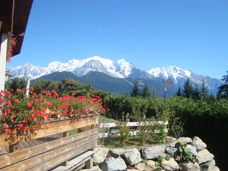 vue sur le Mont Blanc l'été