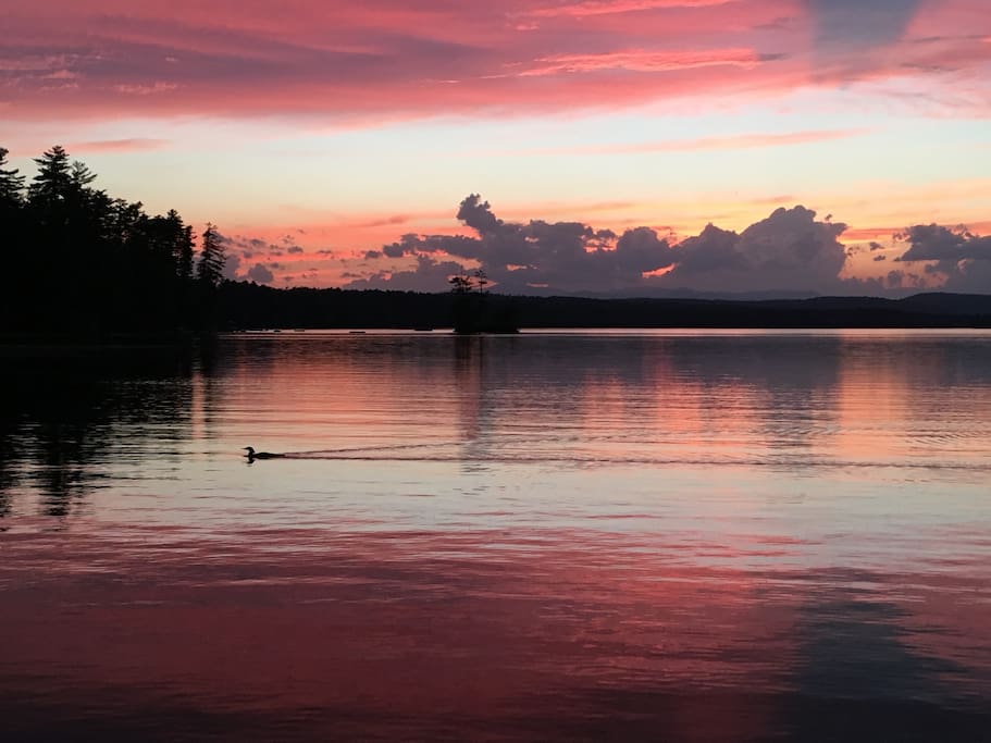 Incredible sunsets with occasional loon!
