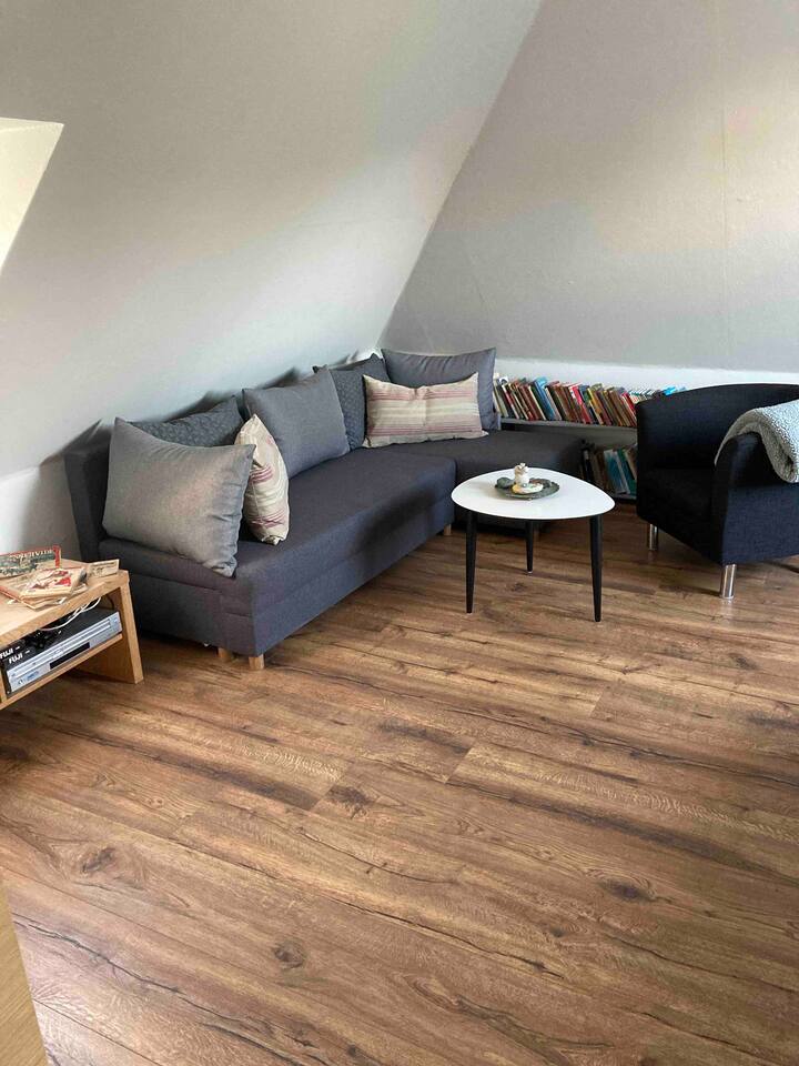 位于顶层的客房。 房间还包括一张双人床和一张可转换成大单人床的沙发