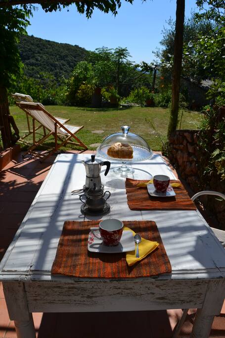 Breakfast in the garden
