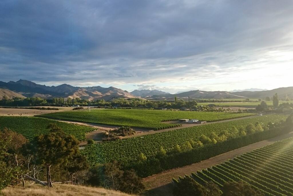 Actual photo of the view from Brookby Cottage!