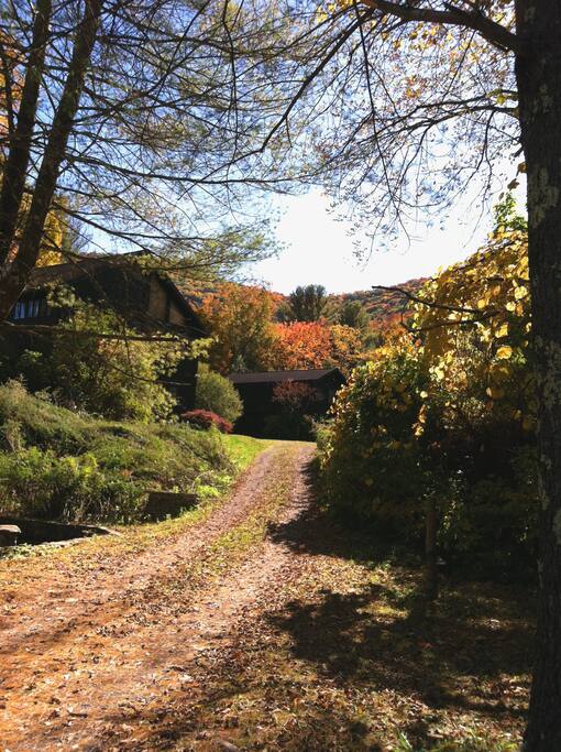 View of the property from the road