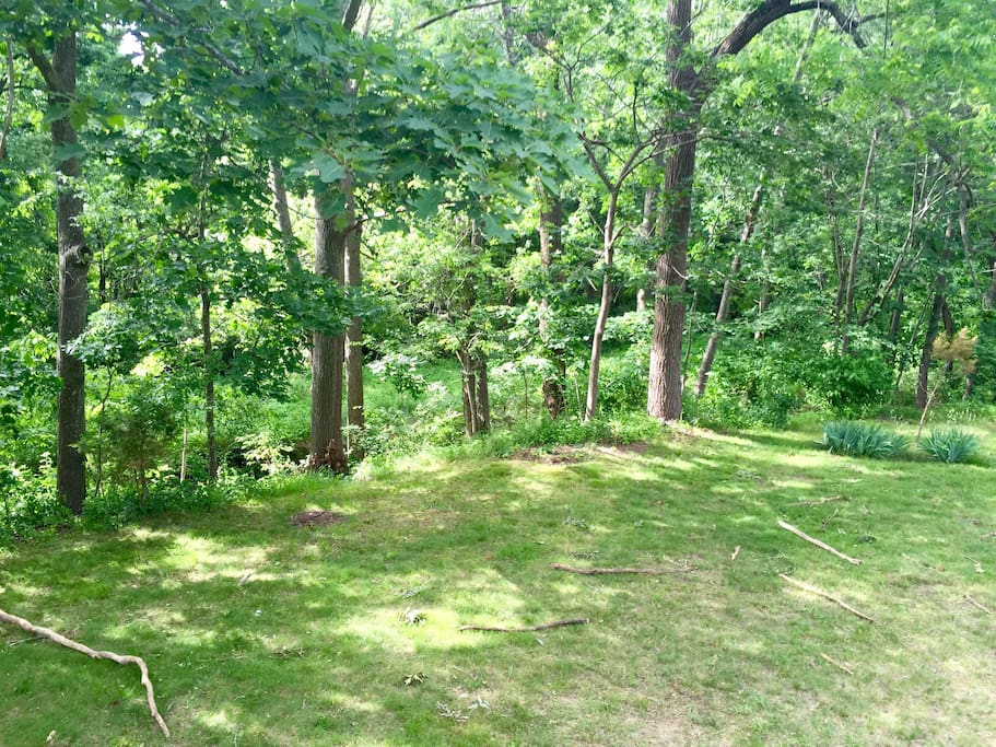 Fenced in Backyard.