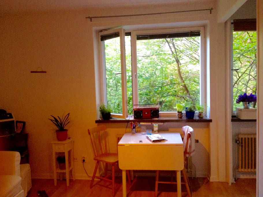 Complete privacy with only trees and bunnies outside the window.