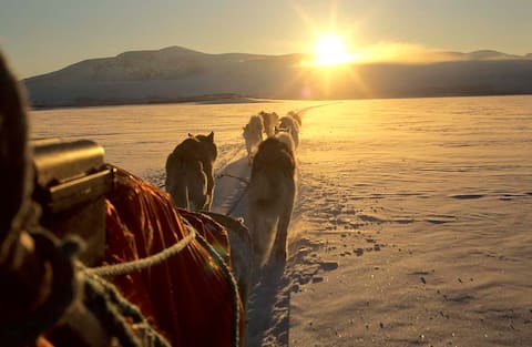 Cabin at the Huskyfarm Innset