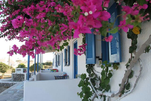 Vibrant pink bougainvillea flowers adorn the exterior of a white building. Blue shutters frame several windows, while a small table and chairs are visible on the balcony. Lush green vines complement the floral display, creating a welcoming atmosphere.