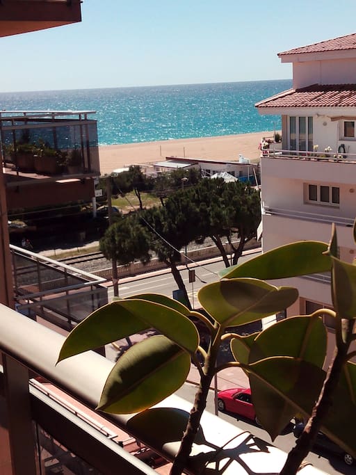 Playa a 25m