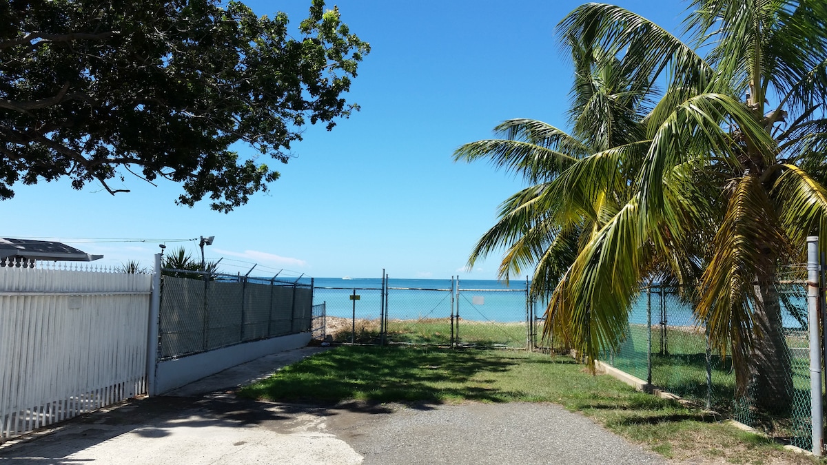 A clear view showcases a pathway leading towards the beach, framed by palm trees. The turquoise water glistens in the sunlight, while a fence lines the property, adding a sense of privacy. The open sky above enhances the serene coastal atmosphere.