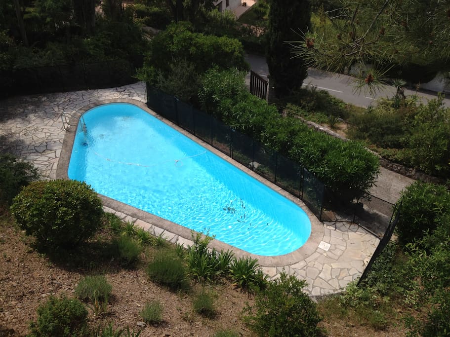 The pool viewed from the terrace