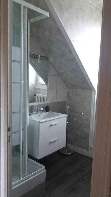salle de bains avec douche