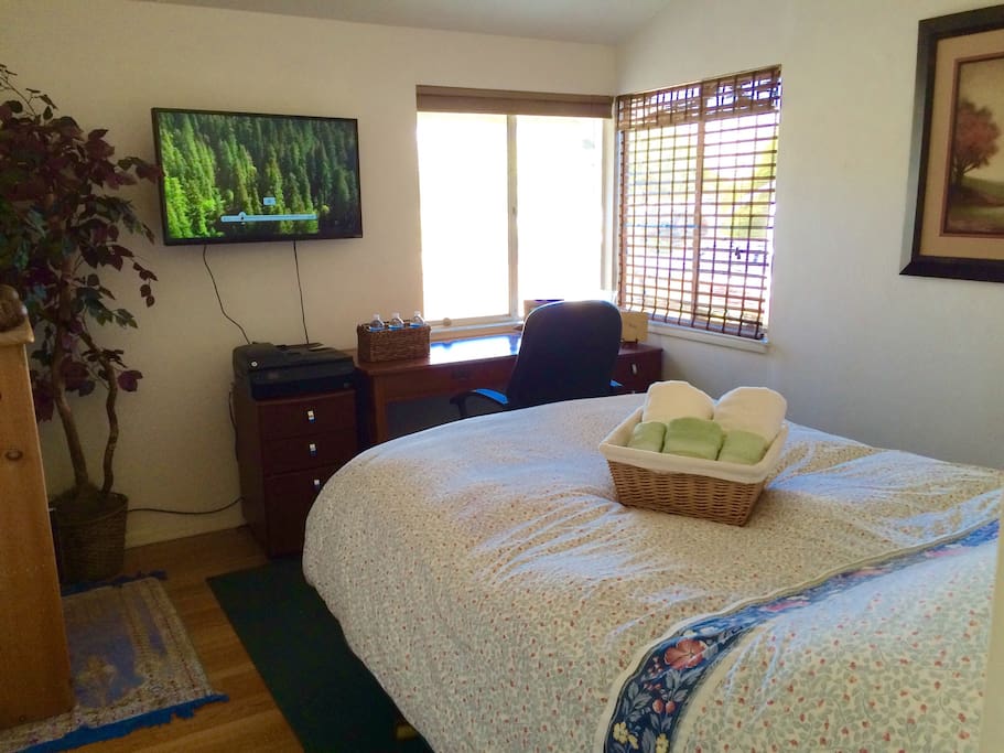 Plush queen pillow top bed, Smart TV, desk, and lots of light.