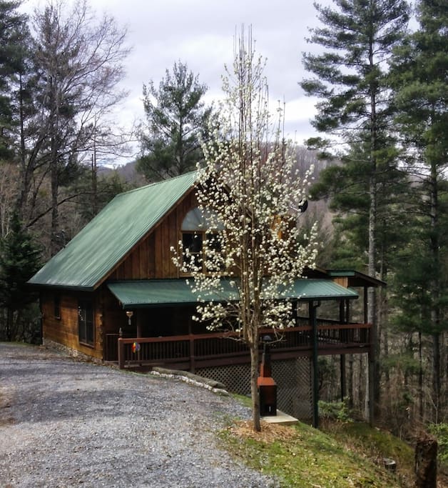 Late Fall at Cabin
