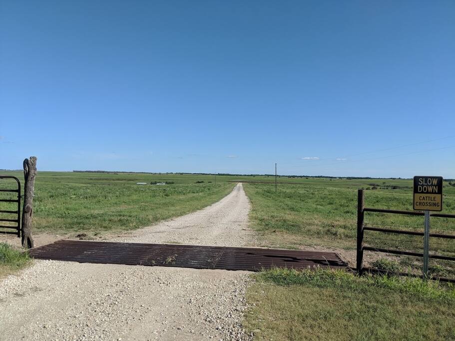 Enjoy a half mile walk (one way) on our driveway.