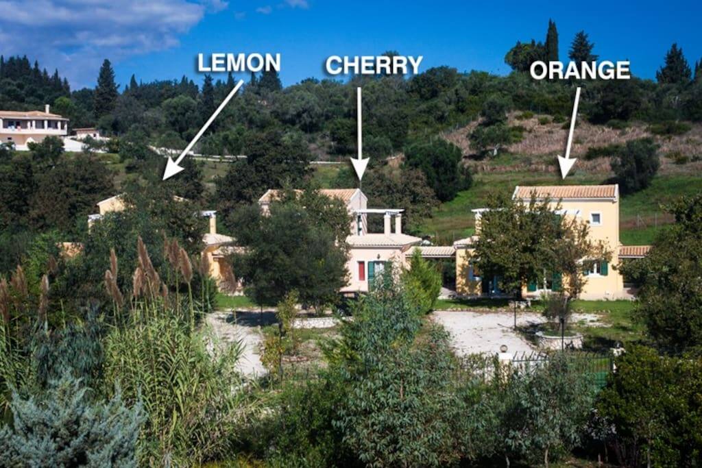 View of the complex - garden side