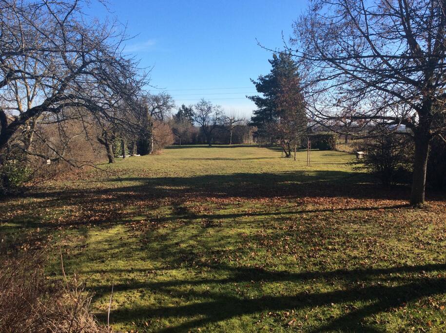Notre grand jardin en hiver