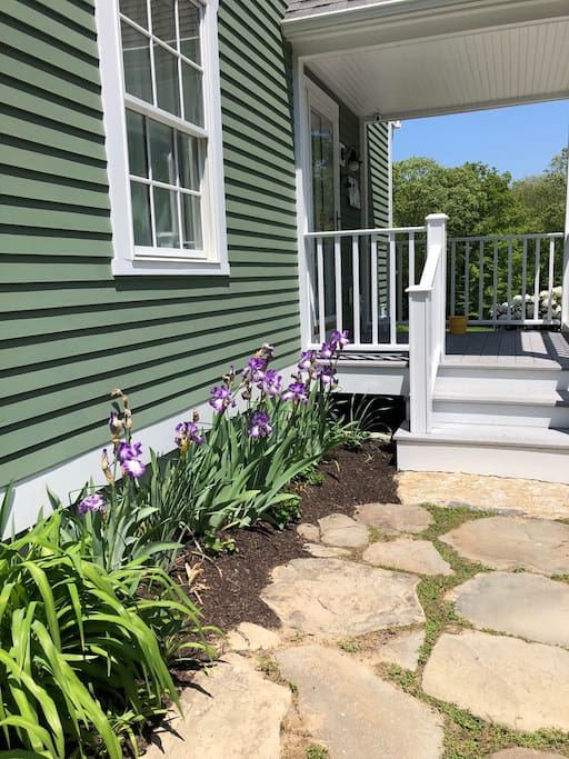 Side door & Irises in spring