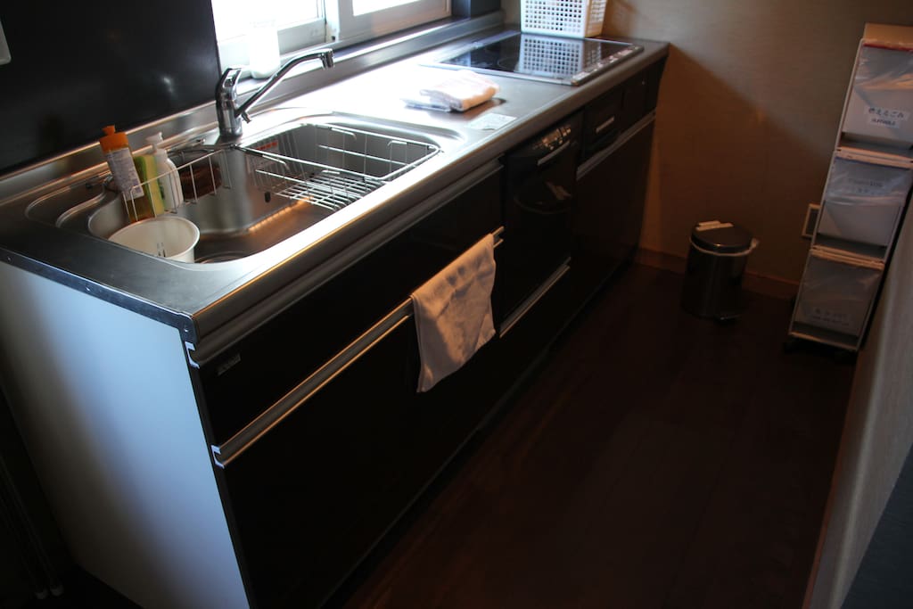 Dishwasher in the kitchen - ディッシュウォッシャー付きキッチン