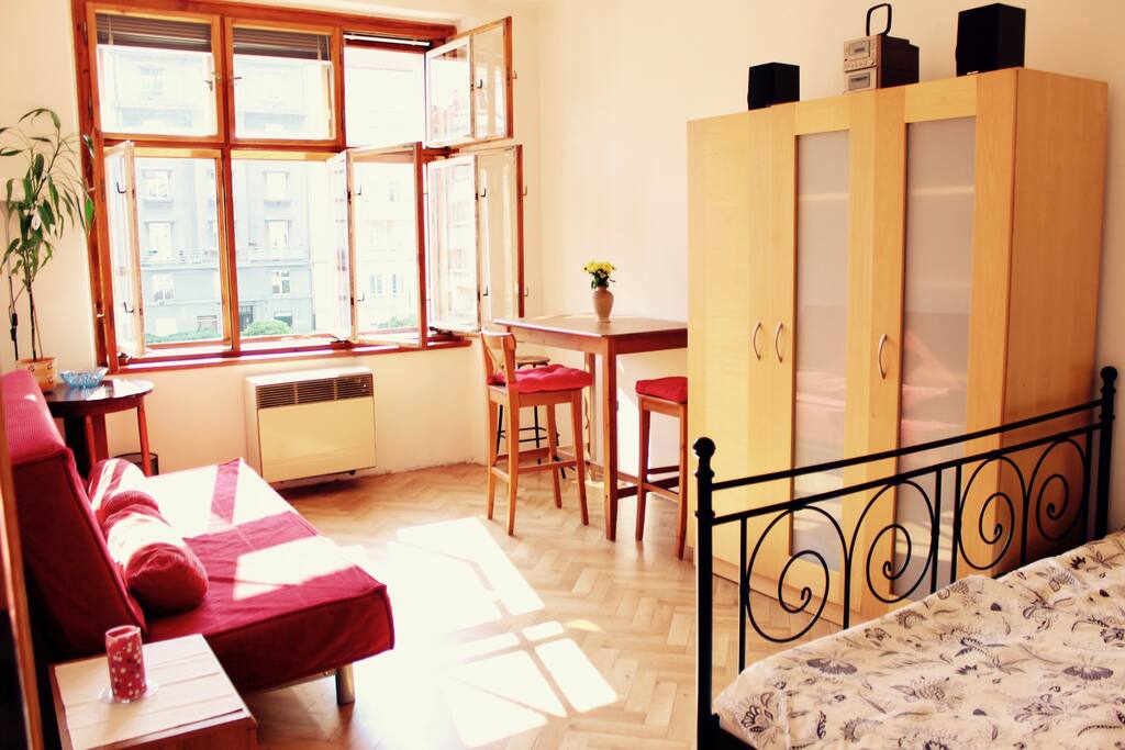 Living room / Bedroom