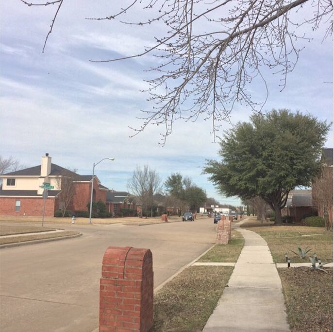 Street