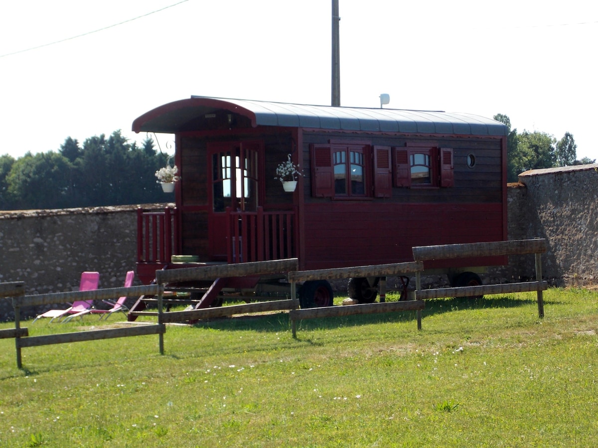 A red wooden trailer is situated on a grassy area, enclosed by a wooden fence. The trailer features large windows and a covered entrance with potted plants. Lounging chairs are positioned nearby, creating an inviting outdoor space.