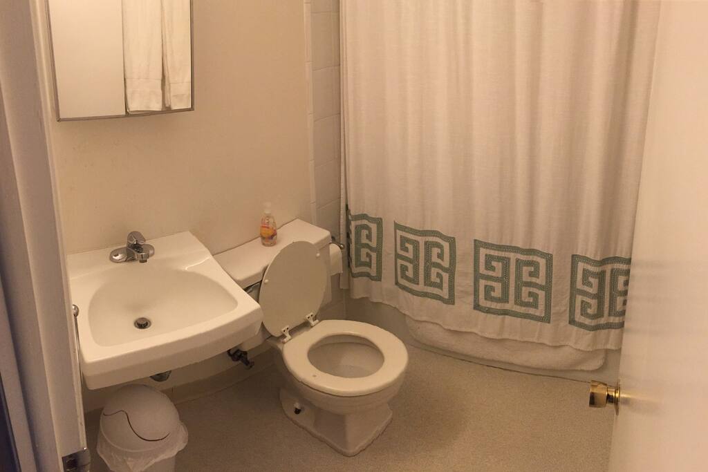 Bathroom, comes with everything stocked.