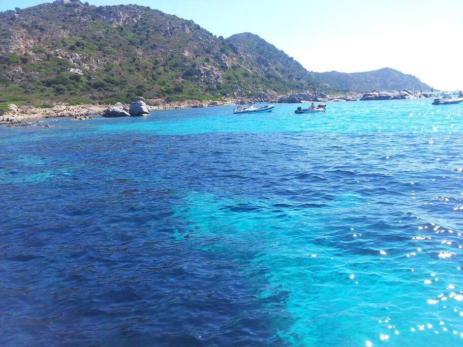 MARE SARDEGNA