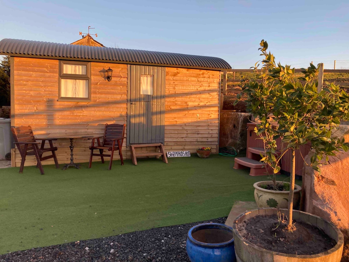 A wooden shepherd's hut features a simple exterior with a corrugated roof and a single door. Outdoor seating is provided with two chairs and a small table on a green lawn. Potted plants add a touch of nature to the surroundings.