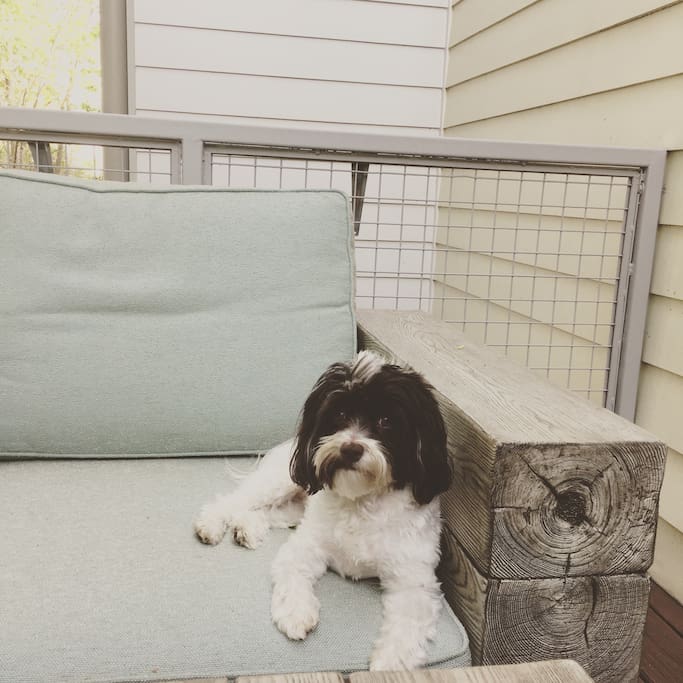 My dog loves to chill on the patio :)