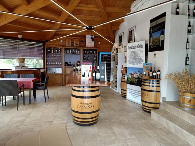 Entre viñedos cn piscina en bodega d Rioja gallery image 4