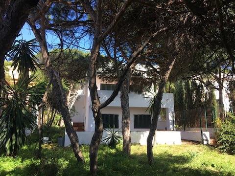 Beachfront - Pinos - Encanto