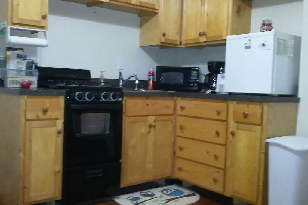 Kitchenette with stove and mini fridge