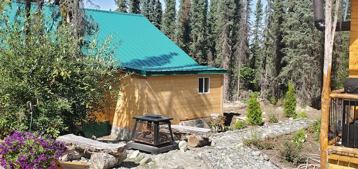 Baby Bear Fishing Cabin Close To Kenai River - Alaska
