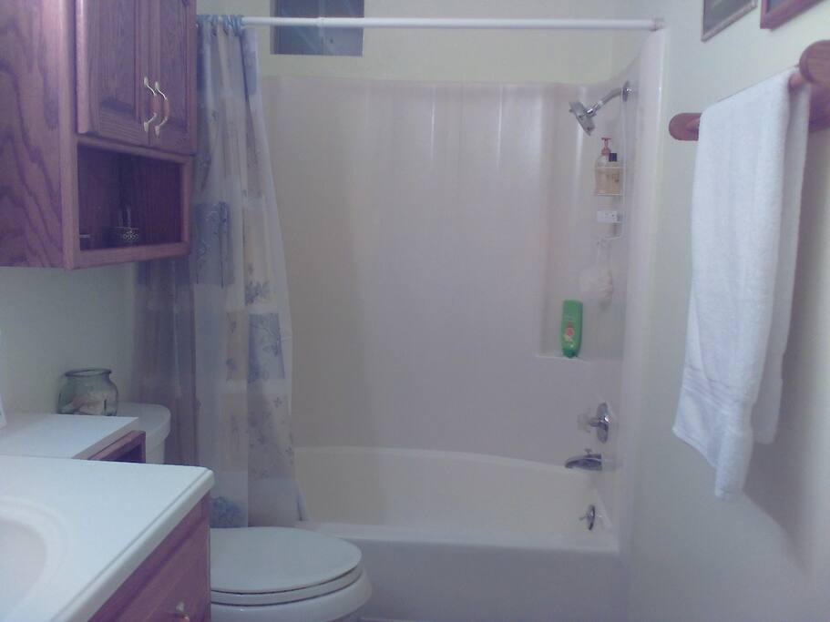 Main Bathroom