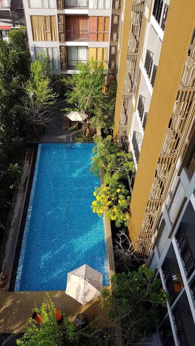 The swimming pool