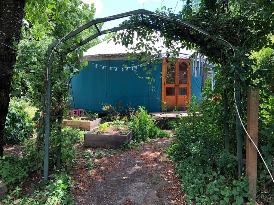 Garden yurt