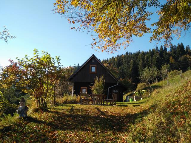 Cozy heaven in nature with perfect view