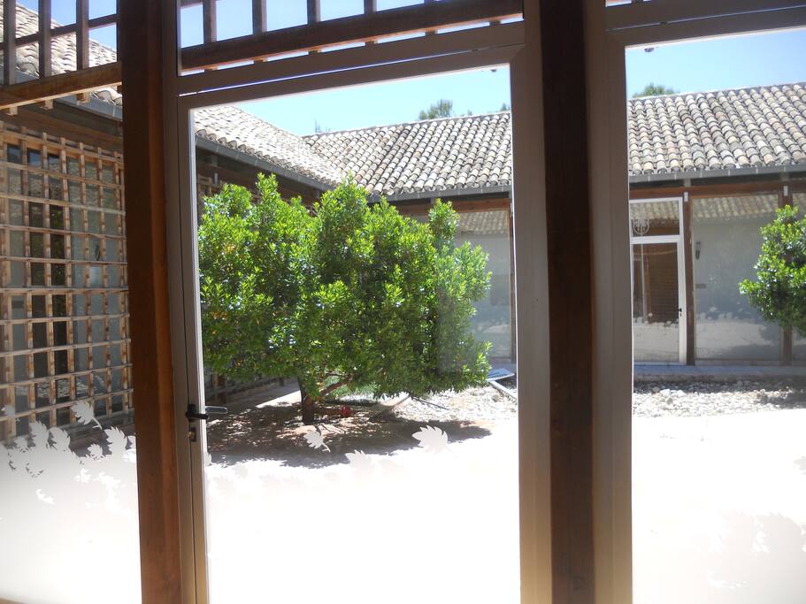 Patio interior