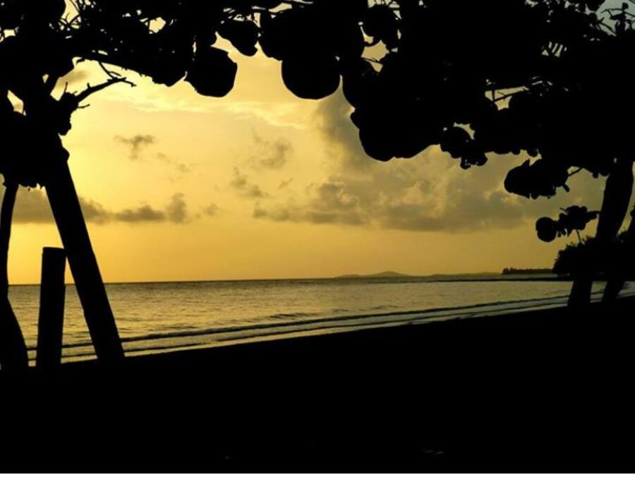 sunset at the beach
