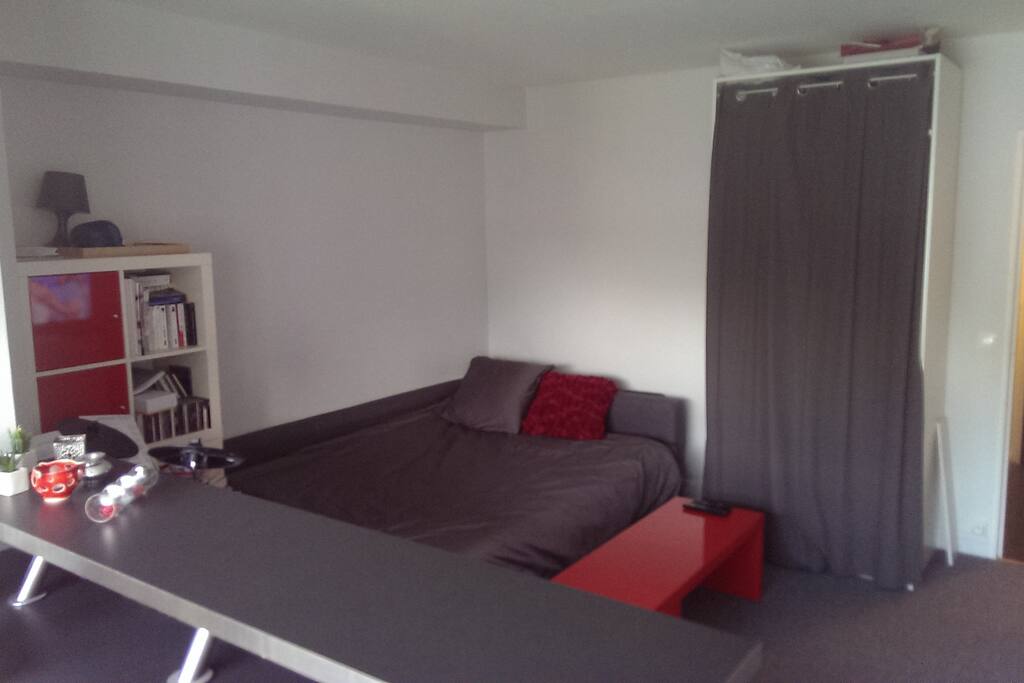 Pièce principale canapé déplié en lit
