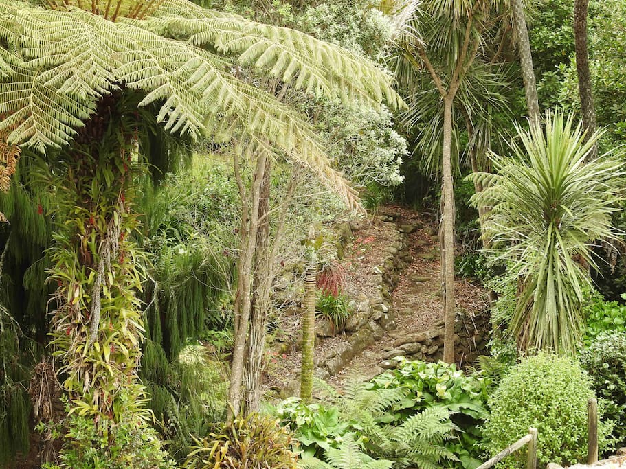 Bush view by room.