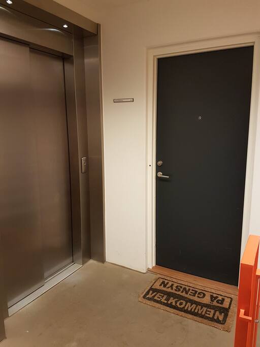 entrence door-stairway