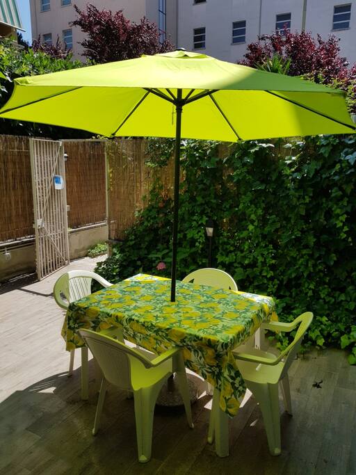 New setting in garden 2018