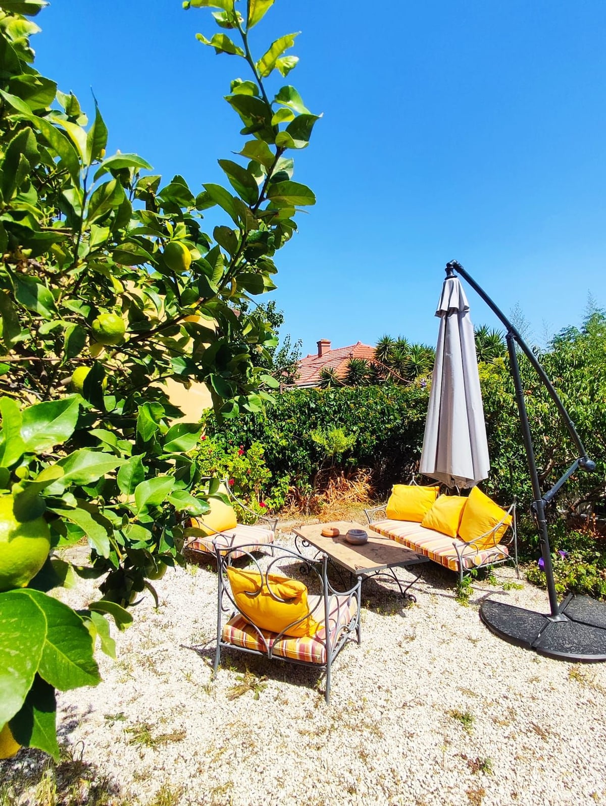 A private garden area is visible, featuring yellow lounge chairs with cushions positioned around a central coffee table. A large, supported umbrella provides shade, while lush greenery and trees line the background, contributing to a serene outdoor space.