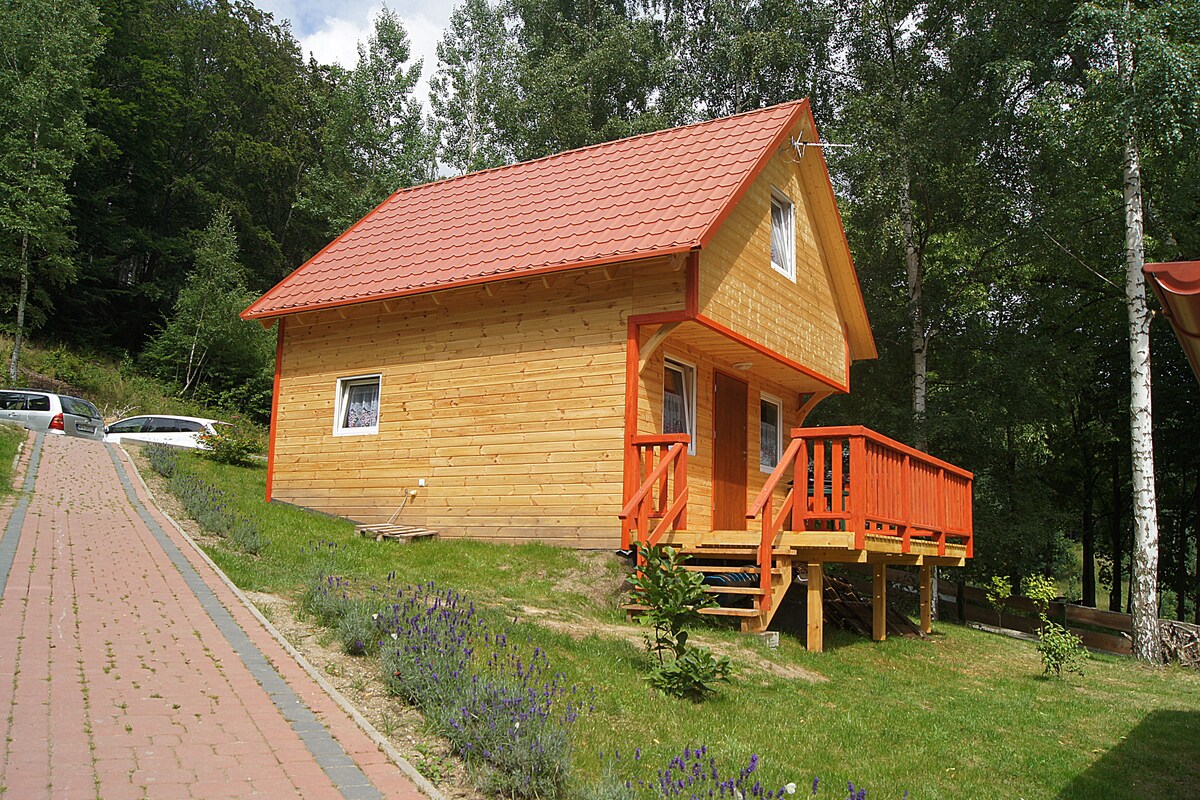 A new wooden cabin is surrounded by greenery, featuring a sloped red roof and orange trim. The front porch, made of wood, invites relaxation. Two steps lead to the entrance, and the cabin is positioned on a slight incline, with a paved pathway visible.