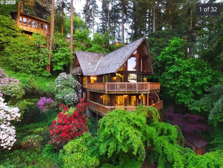 Spacious 3 bedroom Oregon Treehouse must see! Houses for Rent in Eugene, Oregon, United