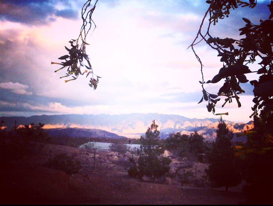 Southeastern View from house.