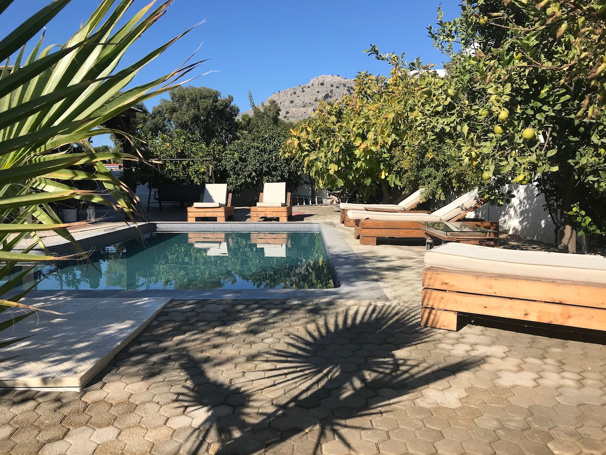 An outdoor space features a rectangular swimming pool surrounded by sun loungers with cushioned seating. Lush greenery, including lemon trees, adds privacy to the area. Sunlight casts shadows on the textured stone pavement, enhancing the serene, inviting atmosphere.
