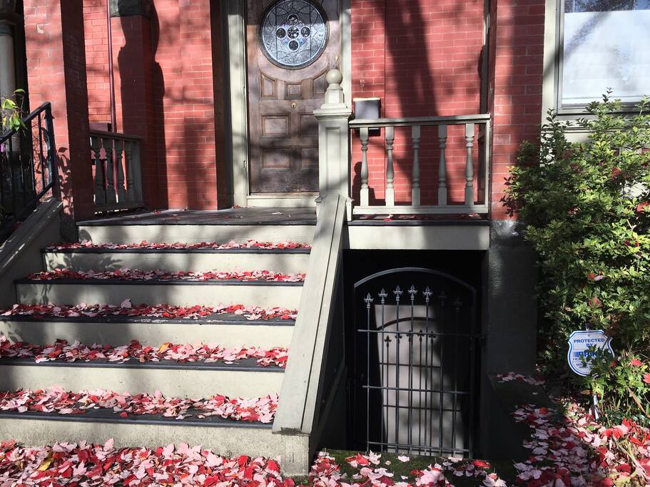 Curbside appeal of the property