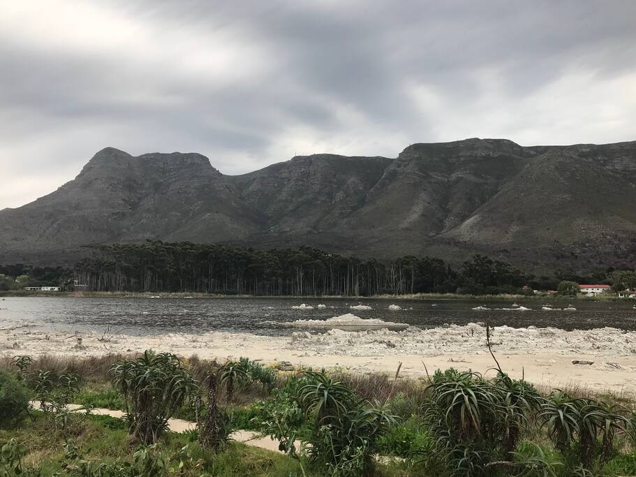 Your View.. Vermont Saltpan sheltered by the Kleinriver Mountain Range.. hosts a variety of magnificient Birdlife! A Photographer’s Dream