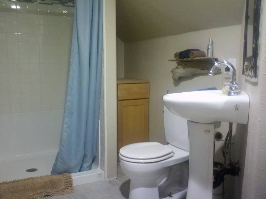 Private bath with large closet
